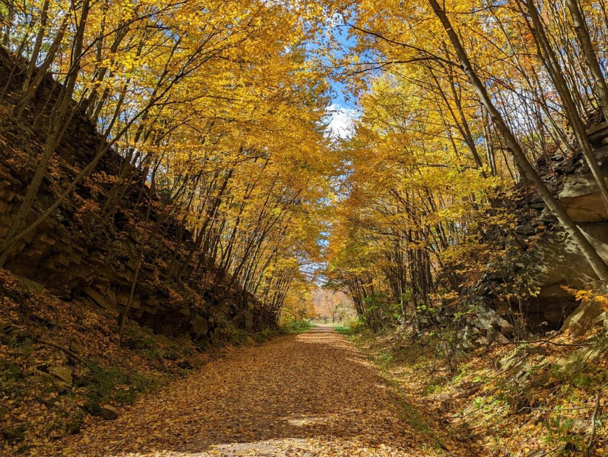 Stay In Ohiopyle In The Middle Of Town By The Gap Trail ภายนอก รูปภาพ